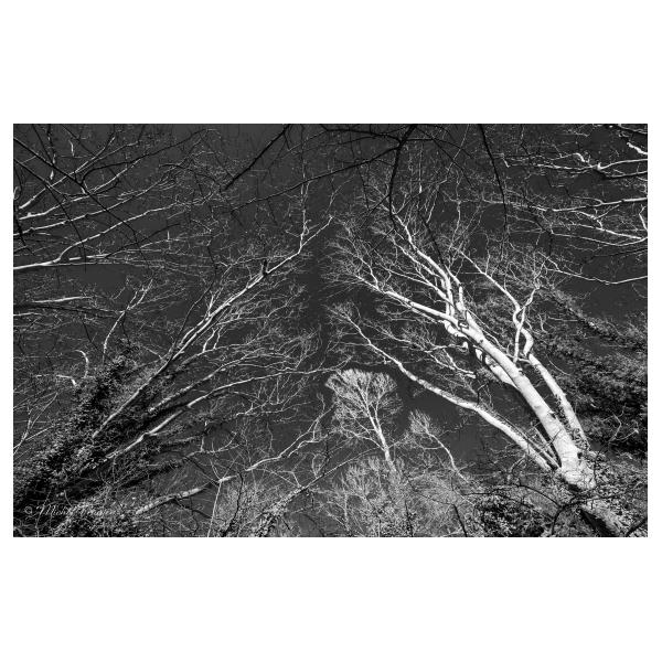 PHOTO84, CLUB, 84 , LUBERON